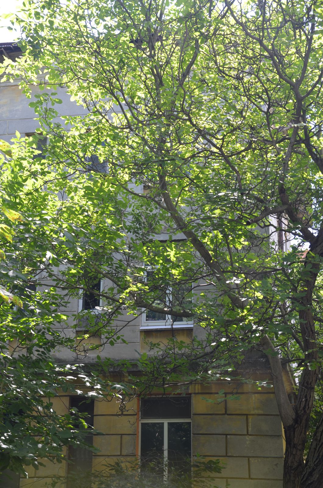 Будинки та територія під управлінням КЕУ — фото 3